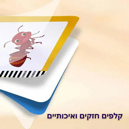 משחק ללימוד אנגלית עם לוח LCD מחיק